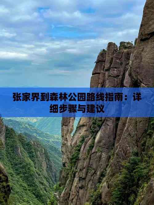 张家界到森林公园路线指南：详细步骤与建议