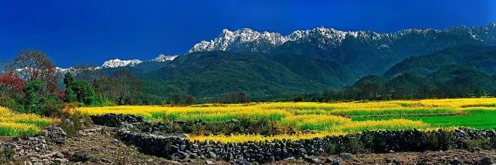 保山市持续推进高黎贡山生物多样性保护工作