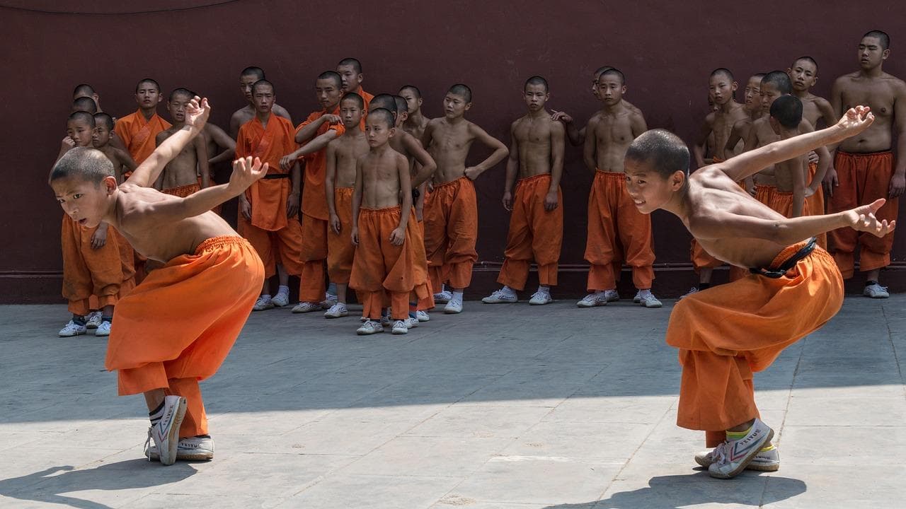 中国功夫VS世界格斗术，一场跨文化的武术对话
