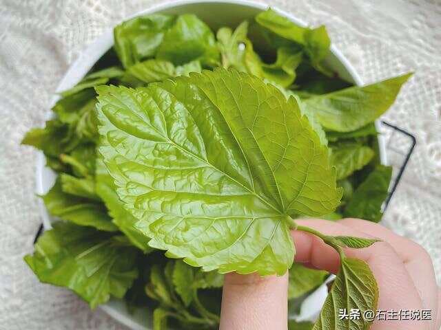 三焦通调法：“上焦宜清解，中焦宜调理，下焦分虚实”