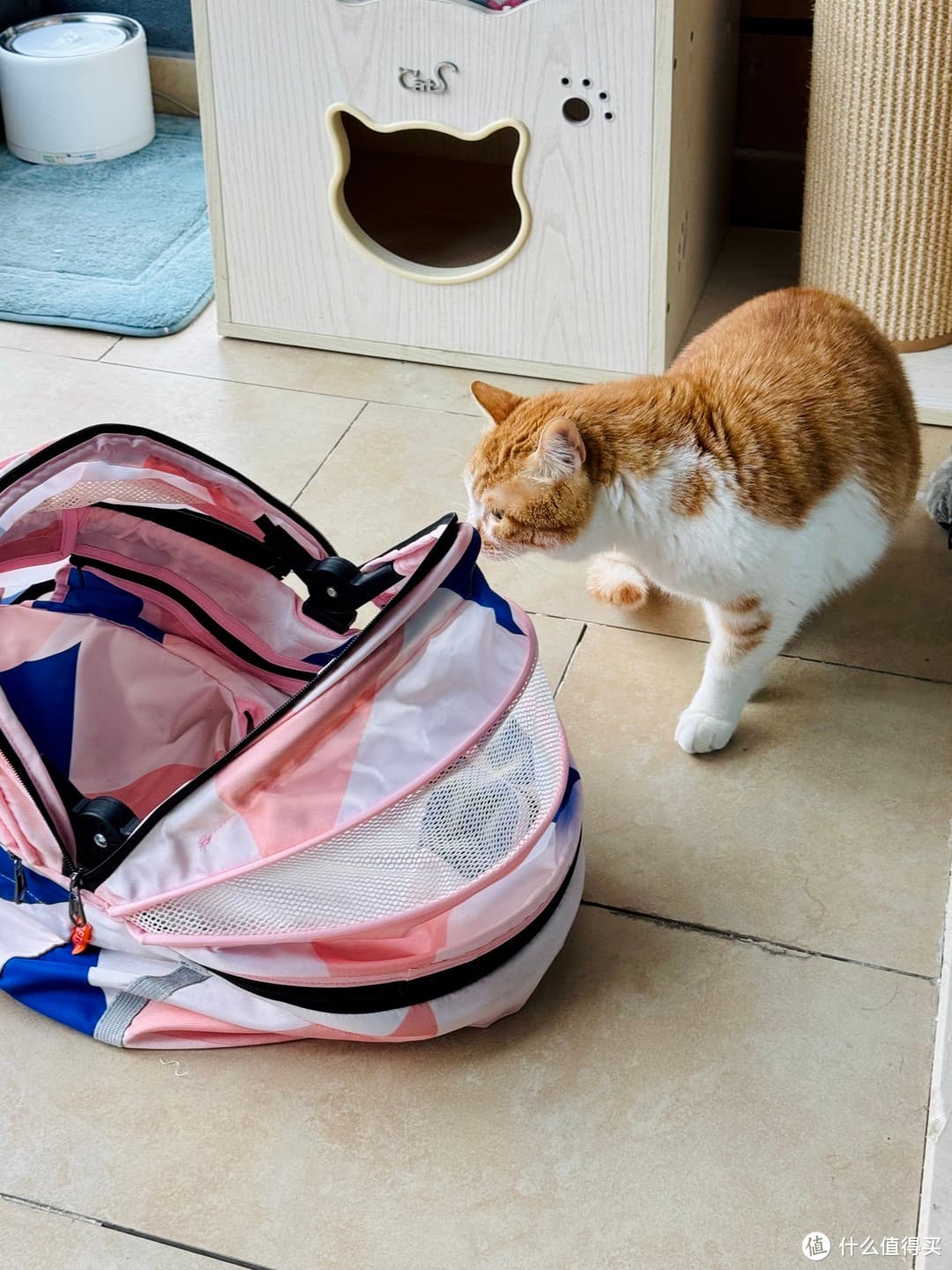 发现了非常牛X的祛猫尿味的方法！！