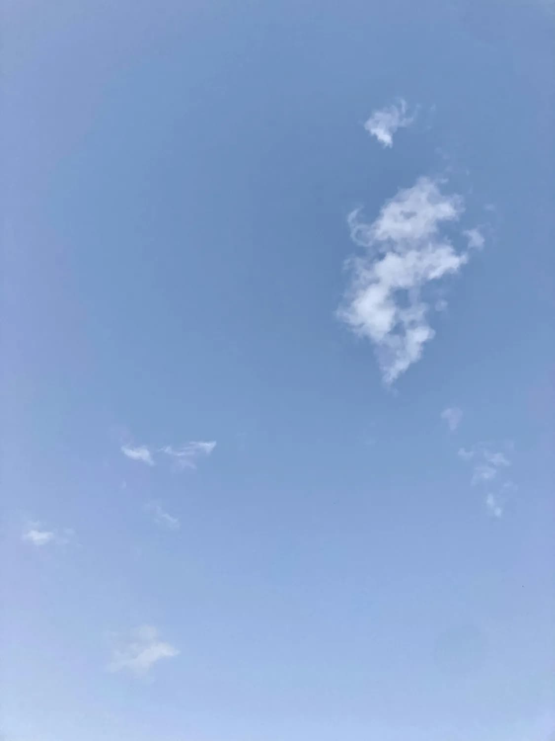 鞠婧祎“蓝天白云圆脑袋”形象背后的成功秘籍