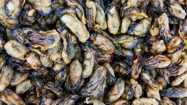 桂枝甘草龙骨牡蛎汤方歌：中医经典方剂详解