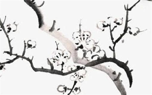 黄芪枸杞泡水,黄芪枸杞泡水喝的用量