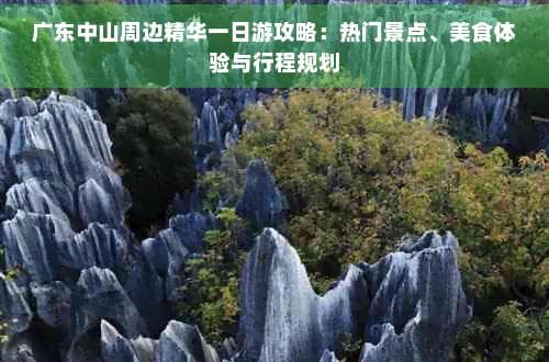 广东中山周边精华一日游攻略：热门景点、美食体验与行程规划