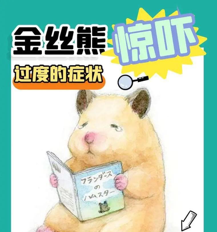 仓鼠生病的日常措施与紧急应对方法（保护宠物健康的必备知识）