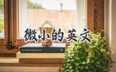 微小的英文：从细微处感受语言的魅力