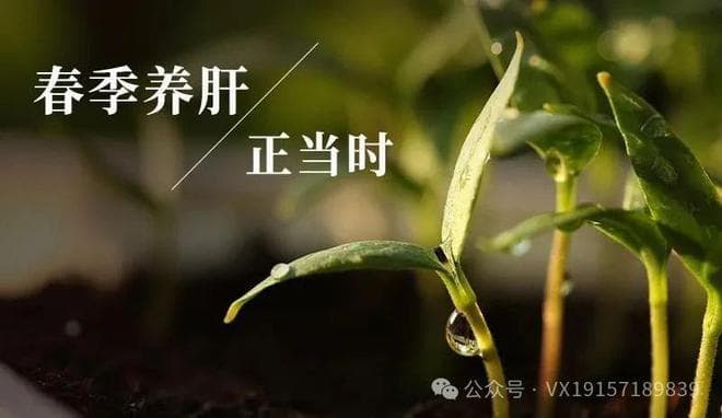 中医解码：癫痫患者春季调养三法 抓住肝气疏泄黄金期
