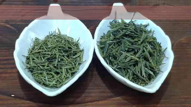 全年气候下红茶的适宜饮用时机与健康益处解析