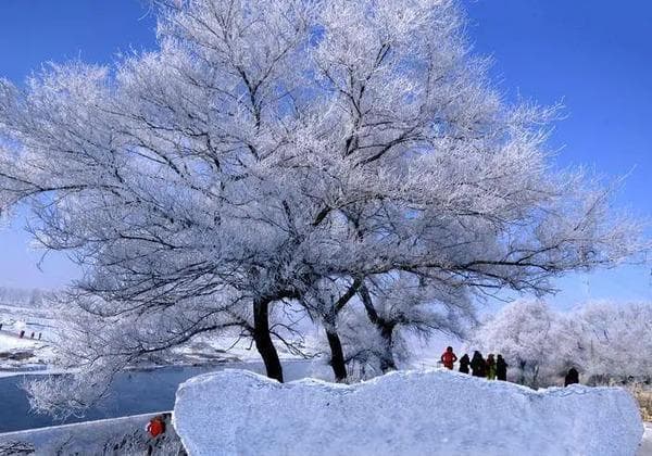 中国十大冬季旅游景点：雪与冰的奇妙之旅