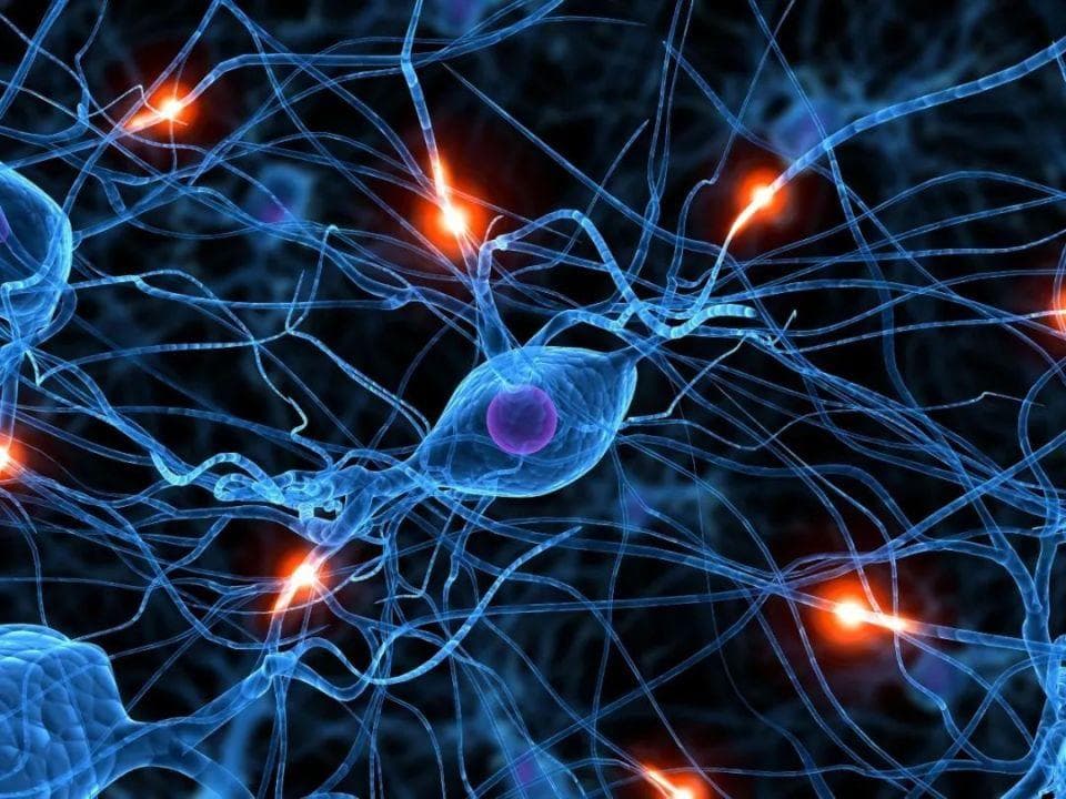 好好睡一觉，记忆力更强！最新《科学》确认睡眠“重启”大脑的学习功能