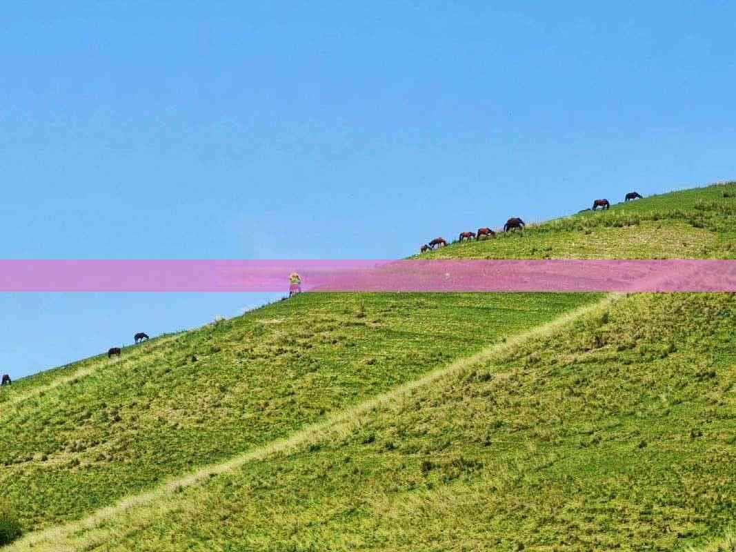 探秘阿坝州：红色旅游资源的深度解读与全景观光指南