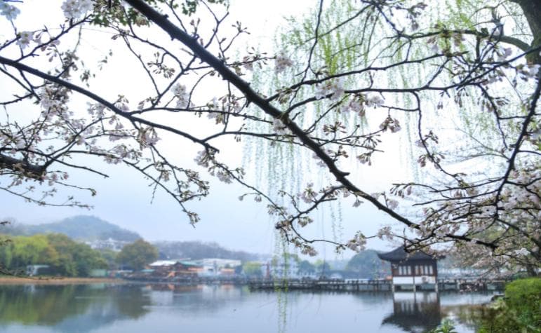 西湖旅游攻略：漫步人间仙境，品味千年古韵