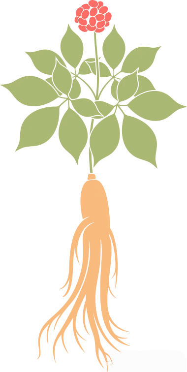 中医特效处方—皮肤瘙痒