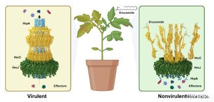 Science | 周俭民/雷晓光团队合作解析植物抗病的化学机制
