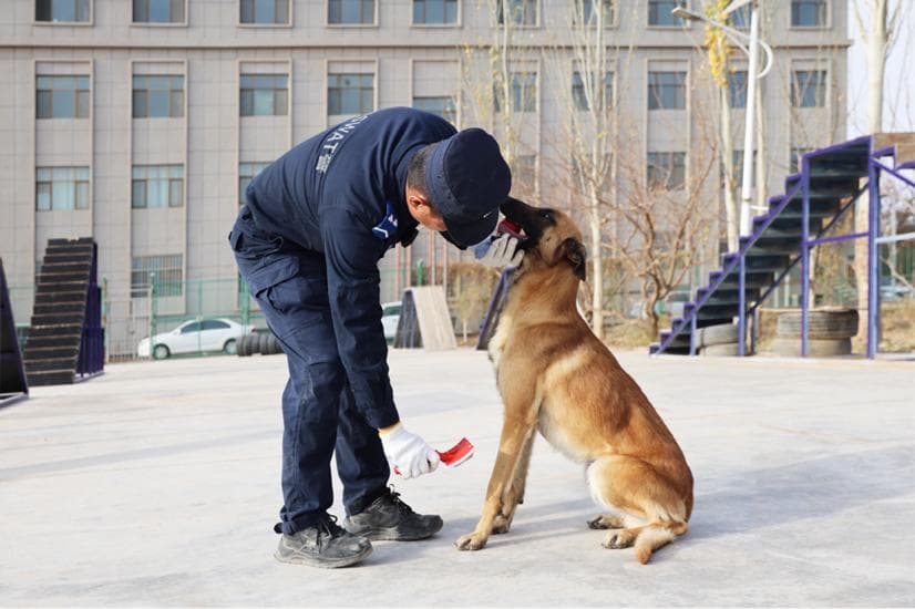 新疆巴楚公安：秋生和警犬“奥迪”