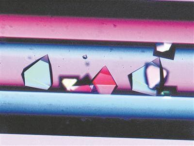 从ZBLAN到双头扁虫：揭秘太空微重力下的奇妙现象