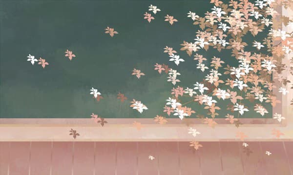 大学军训有特殊情况可以不参加吗 有什么影响吗