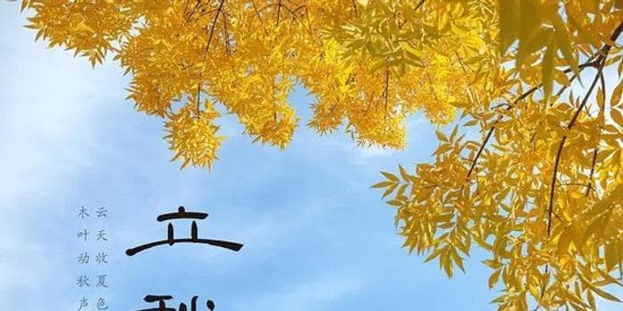 60年不遇？2025年立秋五大特点全解析