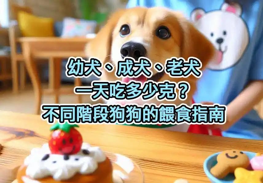 狗狗一天吃多少克？幼犬、成犬、老犬餵食量完整指南