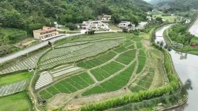 惠东龙门两案例入选广东农村土地综合改革典型案例