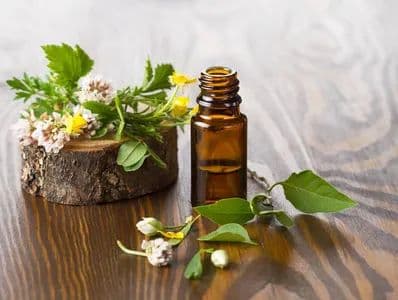 科普 | 中医药治疗失眠之芳香疗法