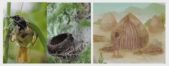 生物建造：土木工程的未来发展方向
