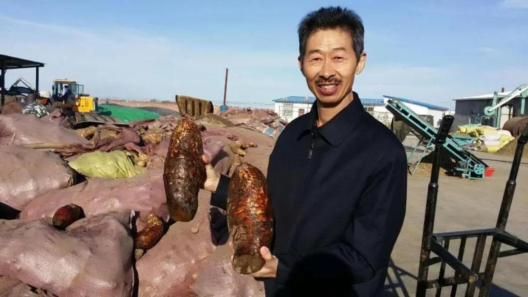 中药材产地加工(趁鲜切制)复函发布三年回顾
