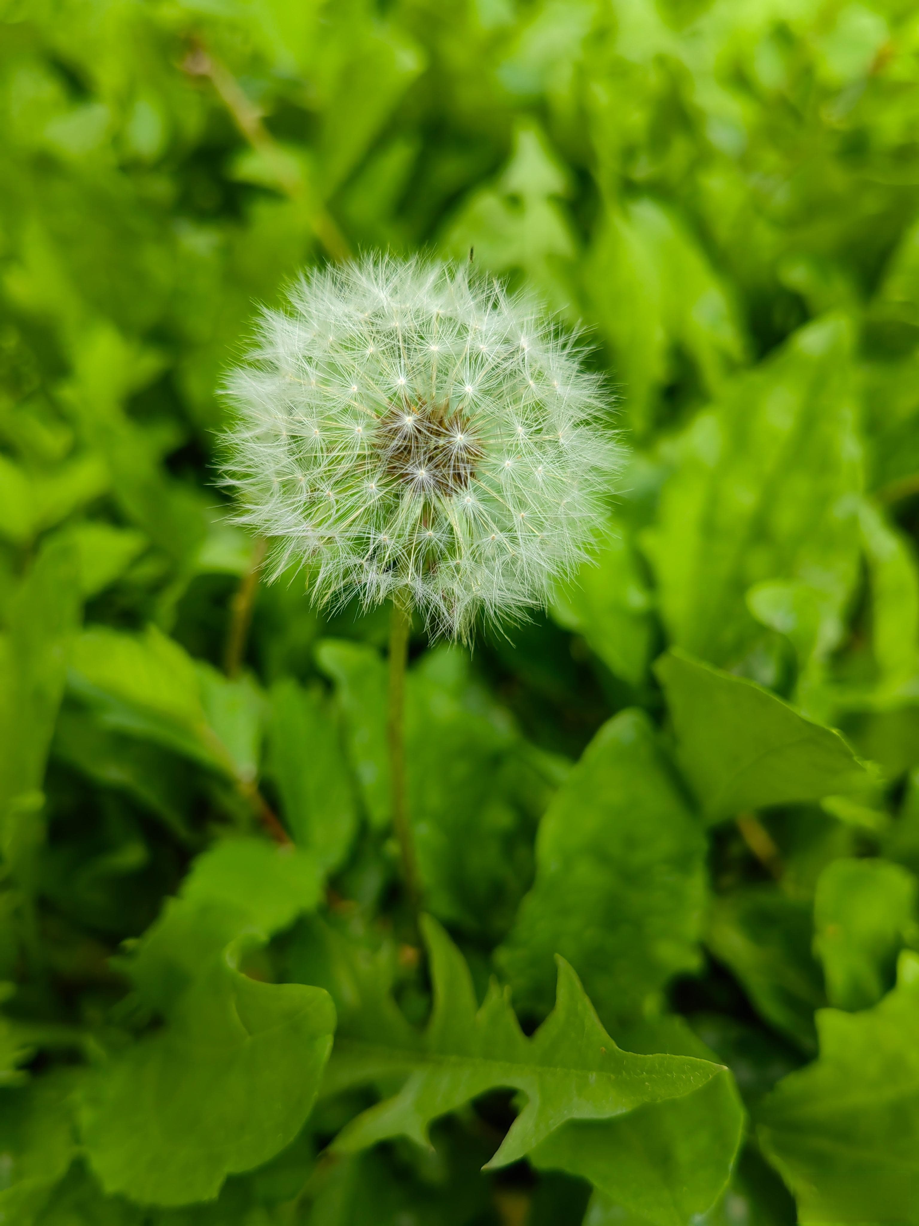 小满：万物初盈，小得圆满