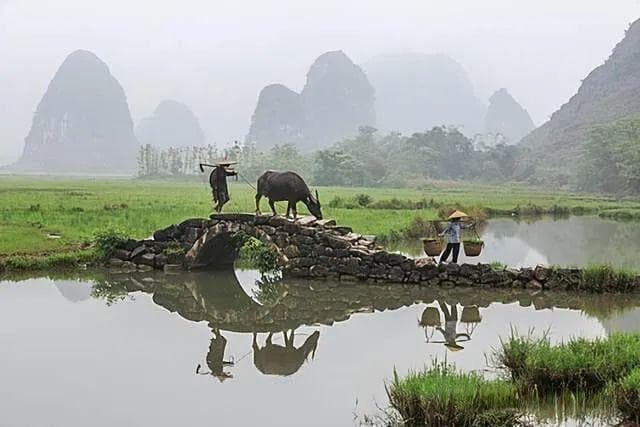 《诗经·邶风·式微》：谁的人生不是负重前行？累了就读这首诗！