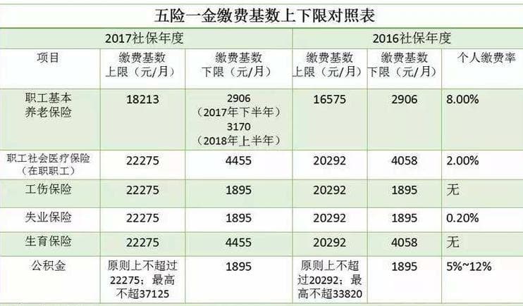 五险一金的缴纳比例详解：单位与个人的分担比例