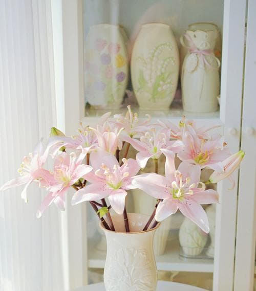 百合花的生长与保养（揭秘百合花的日光浴秘诀）