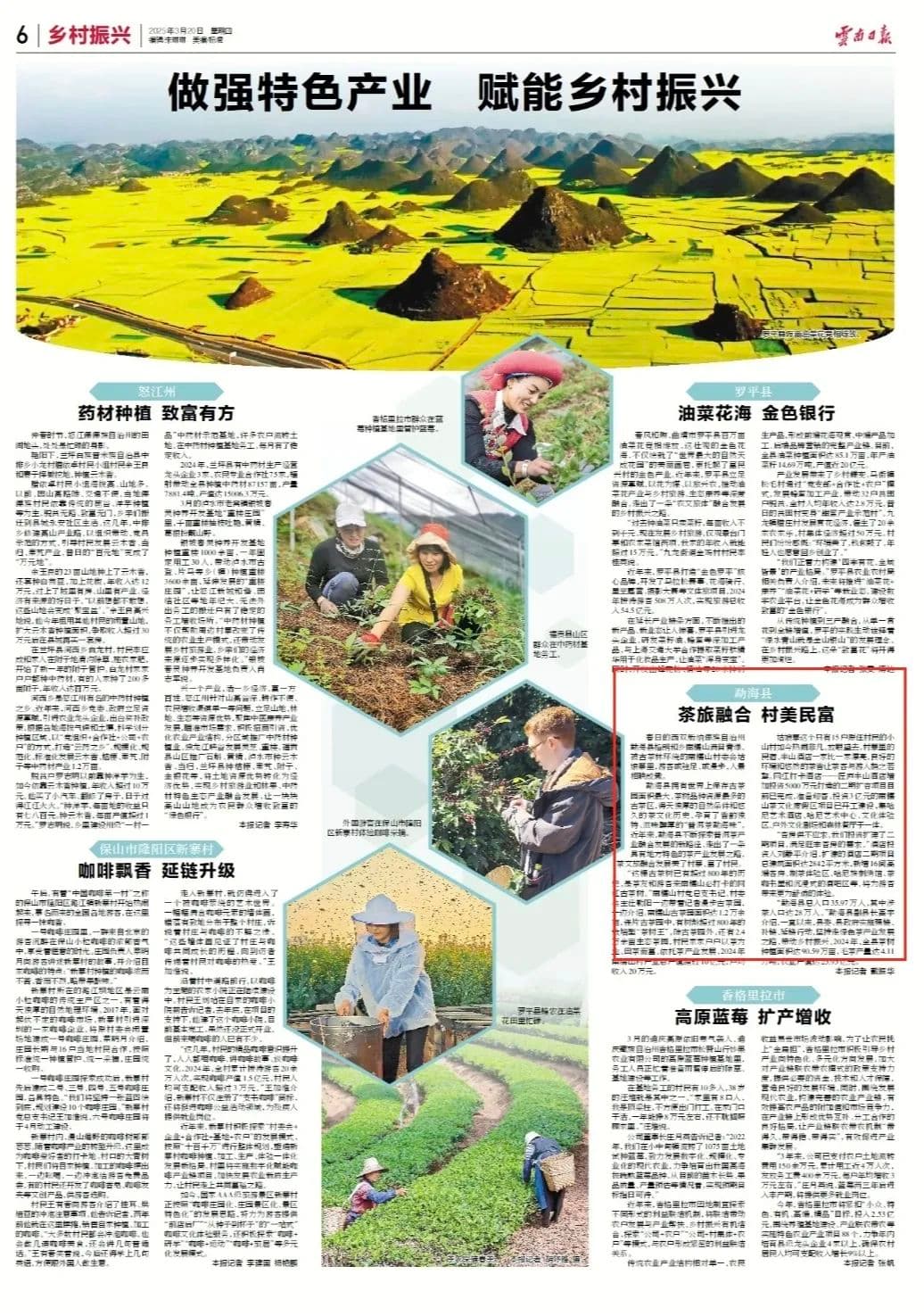 云南日报关注：茶旅融合 村美民富