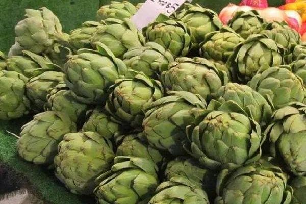 菜蓟：餐桌上的欧式贵族，一道需要耐心与仪式感的美味