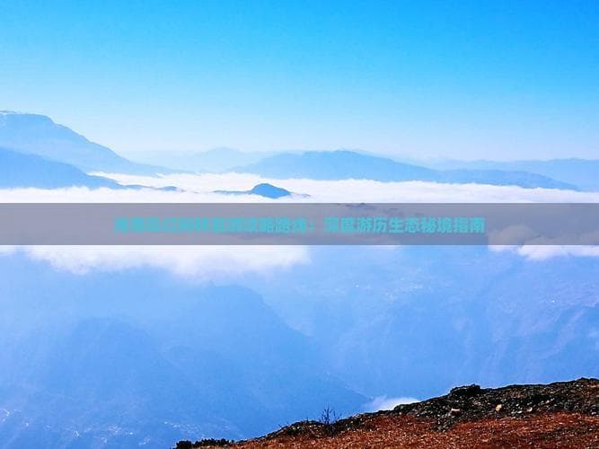 海南红树林旅游攻略：生态观光与海滨度假完美结合