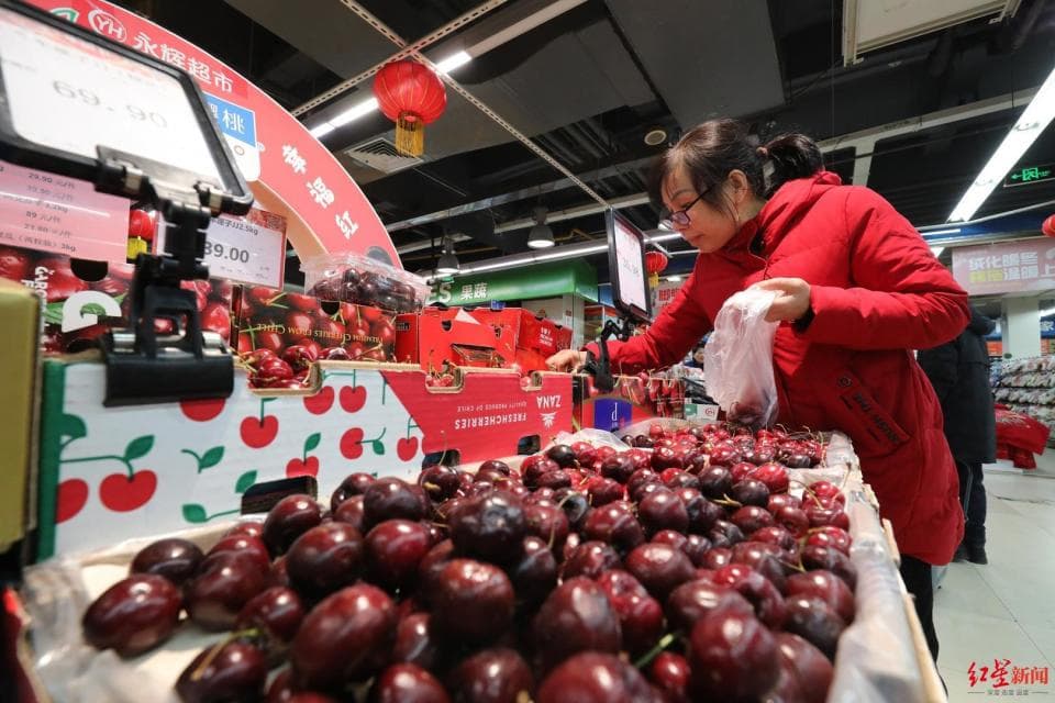 “车厘子自由”调查丨国产“大樱桃”想要打败智利车厘子，仍有漫长的路要走
