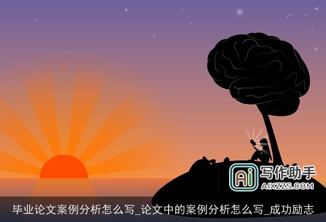 毕业论文案例分析怎么写：构建深度与广度的洞察之旅