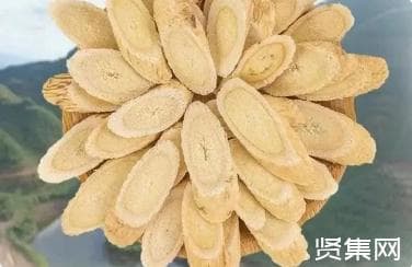 黄芪新品种西芪1号种苗高效繁育技术大全