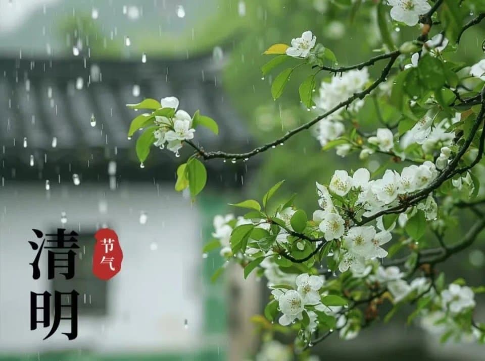 诗词里的清明：“向死而生”的智慧书写