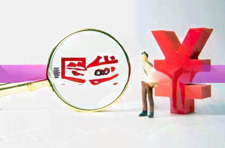 影响信用记录的公务员政审：逾期处理策略