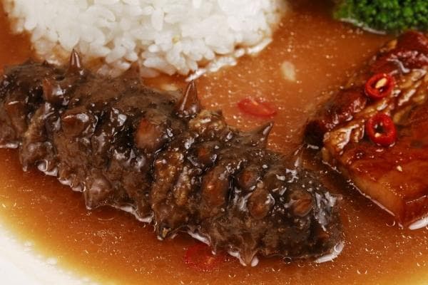 小孩子不能吃海参吗？3个原因解释为何不建议食用