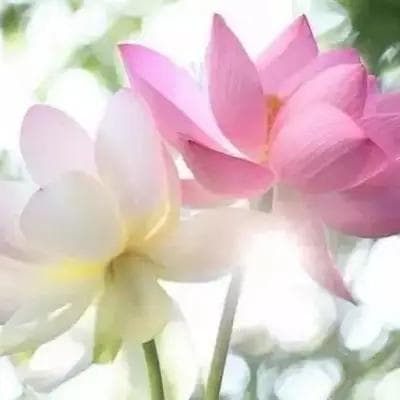 柳永词中的“秋士易感”之情