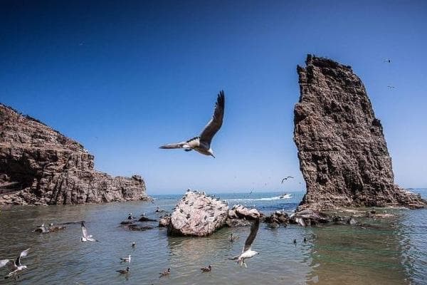 海驴岛最佳旅游时间