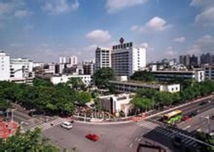 广州市番禺中医院：一家集医疗、教学、科研于一体的综合性国家三级甲等中医医院