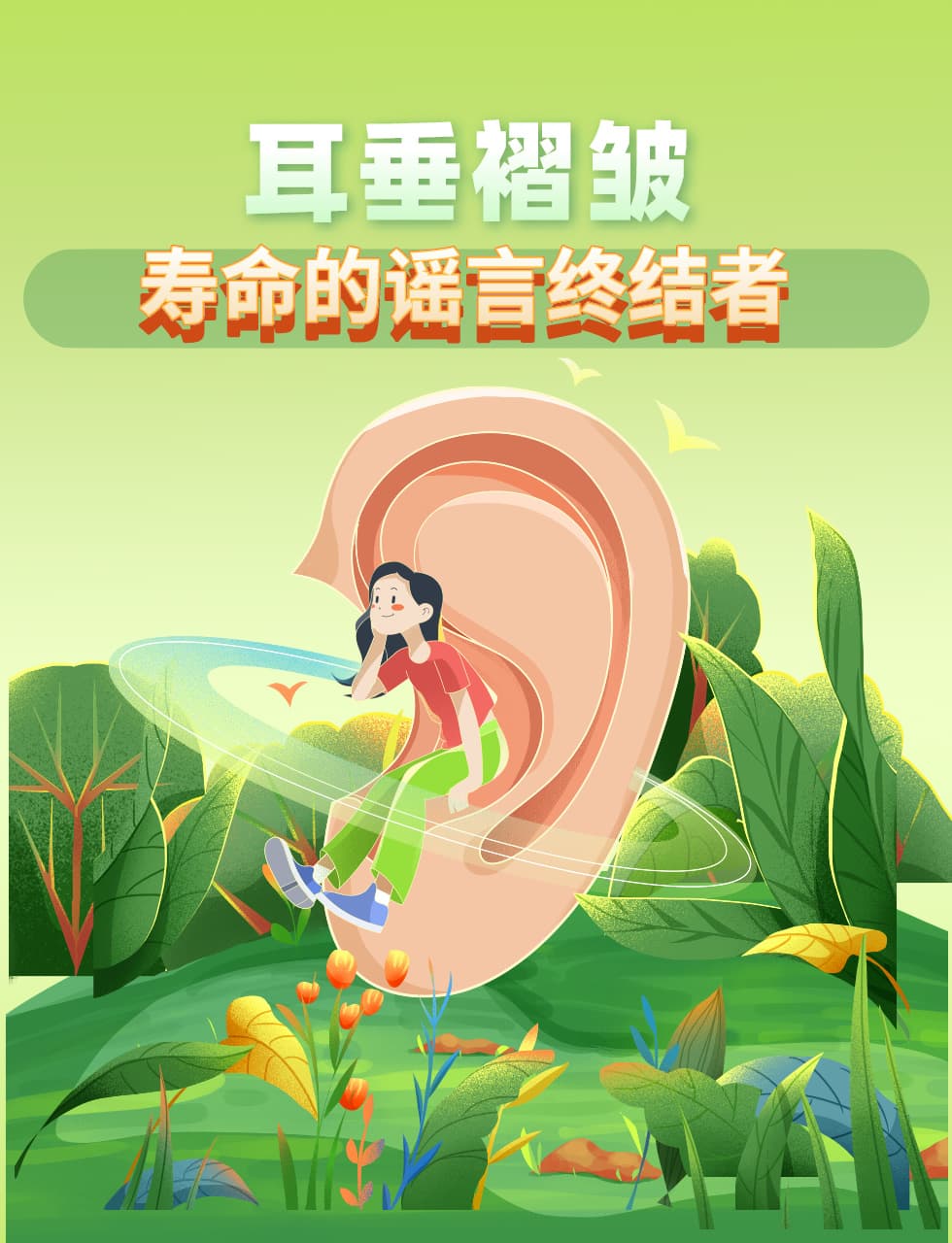 耳垂褶皱，寿命的谣言终结者
