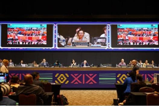 原来不止中国人过这个节？全球五分之一人口都爱“过年”！