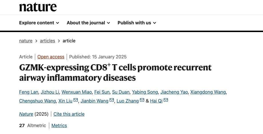 Nature重磅：清华团队发现CD8+ T细胞新功能，揭示过敏与气道炎症复发机制