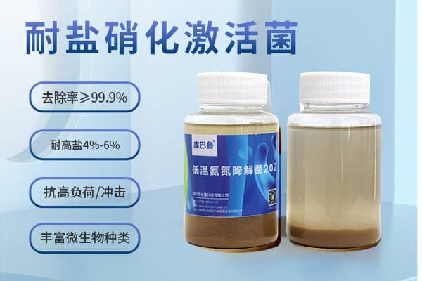 微生物菌剂如何降解氨氮？