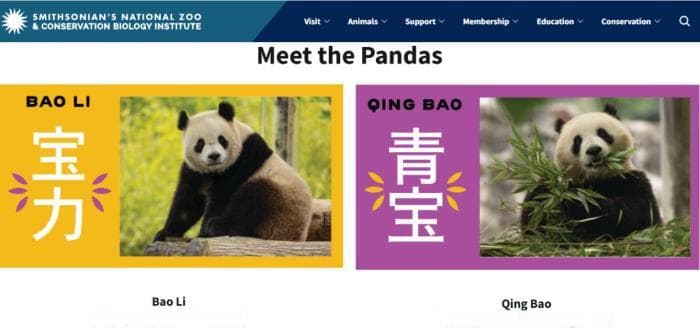 “顶流网红”来了！中国大熊猫萌翻美国华盛顿
