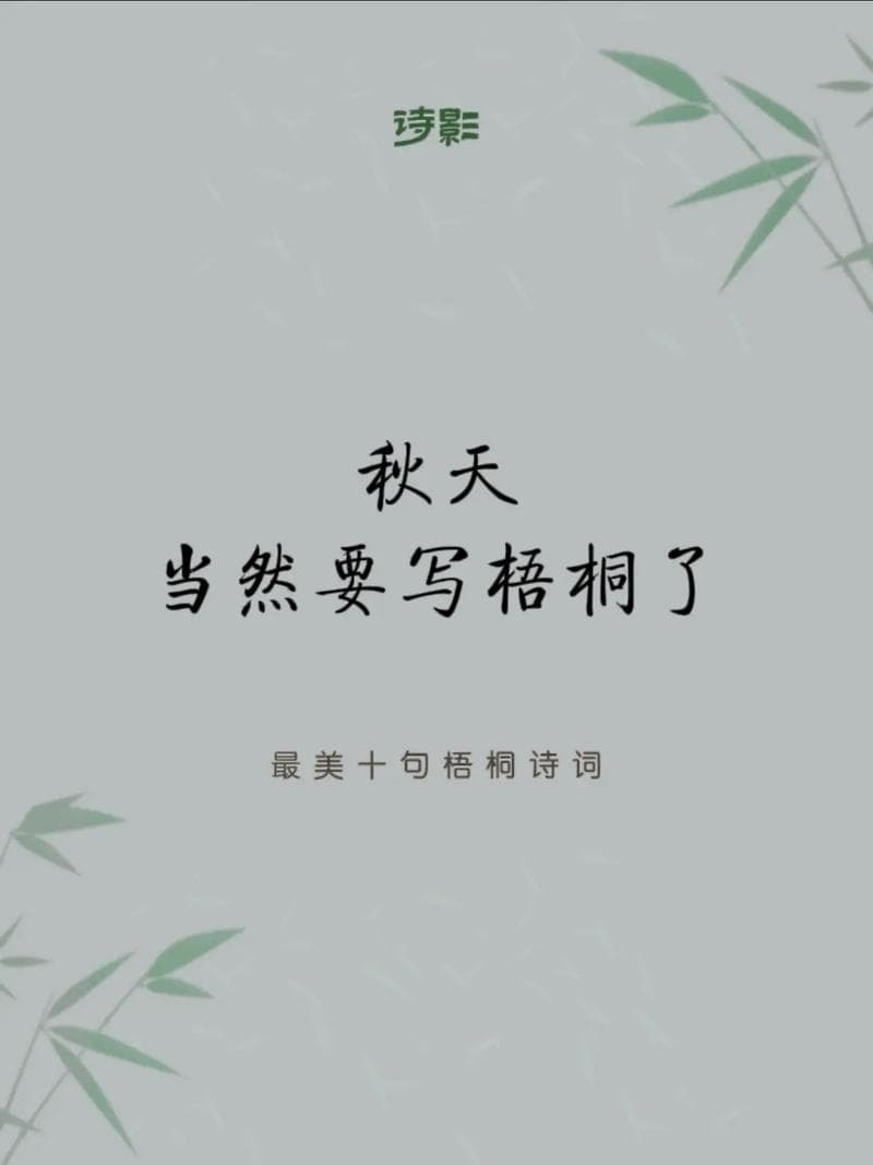 梧桐诗句美景【集锦七篇】